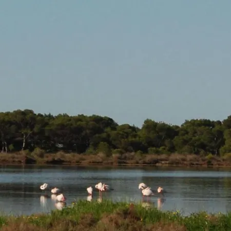 Casa Dei Lentischi By Salogi 别墅