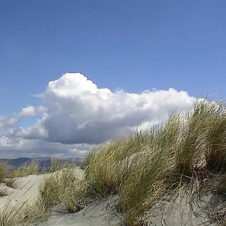 别墅 Casa Dei Lentischi By Salogi *